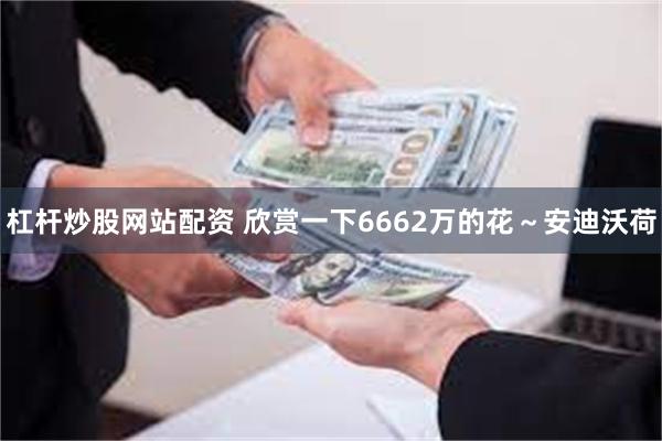 杠杆炒股网站配资 欣赏一下6662万的花～安迪沃荷