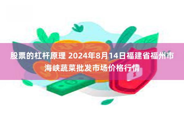 股票的杠杆原理 2024年8月14日福建省福州市海峡蔬菜批发市场价格行情