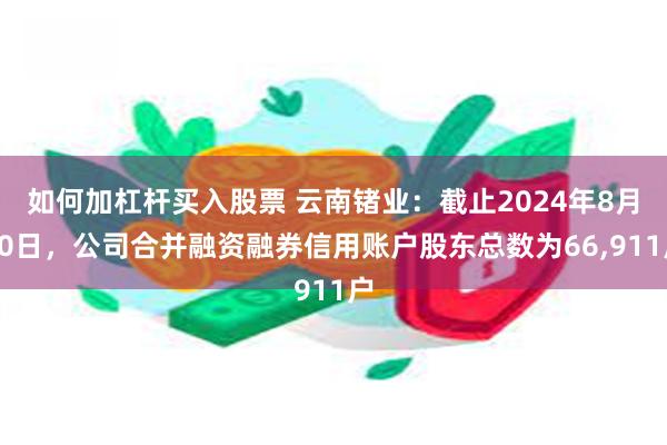 如何加杠杆买入股票 云南锗业：截止2024年8月20日，公司