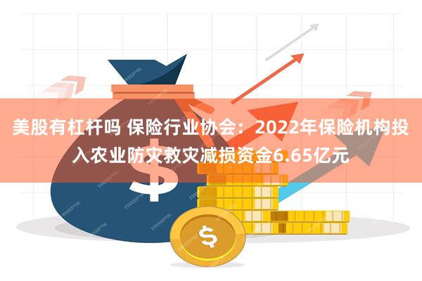 美股有杠杆吗 保险行业协会：2022年保险机构投入农业防灾救