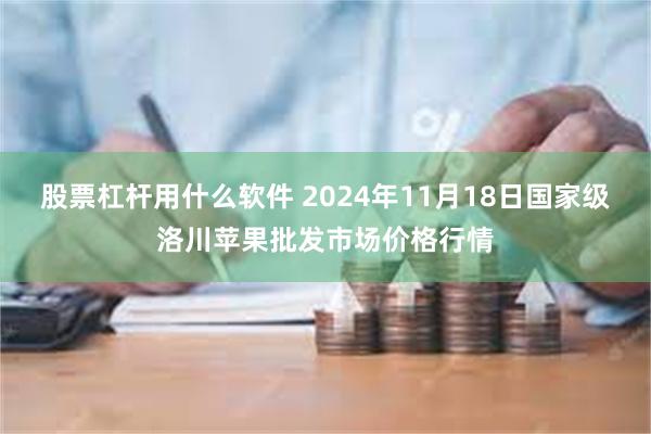 股票杠杆用什么软件 2024年11月18日国家级洛川苹果批发