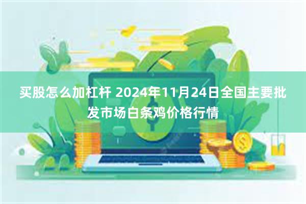 买股怎么加杠杆 2024年11月24日全国主要批发市场白条鸡