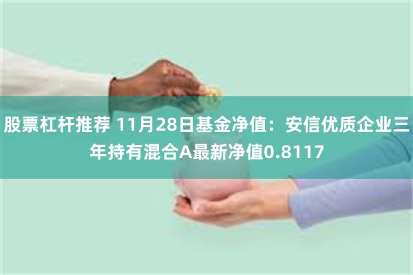 股票杠杆推荐 11月28日基金净值：安信优质企业三年持有混合