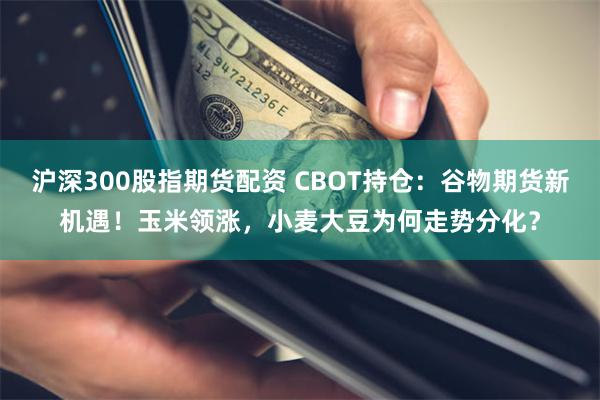 沪深300股指期货配资 CBOT持仓：谷物期货新机遇！玉米领