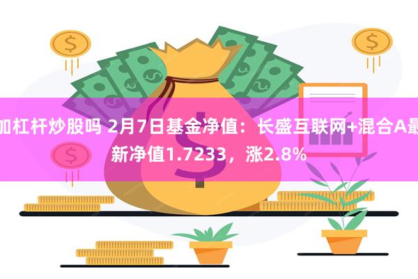 加杠杆炒股吗 2月7日基金净值：长盛互联网+混合A最新净值1