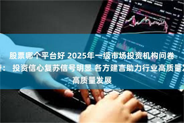 股票哪个平台好 2025年一级市场投资机构问卷调查： 投资信